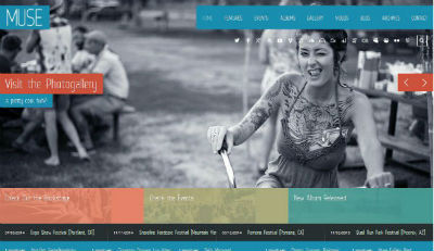 12 Best Premium WordPress Themes 2013